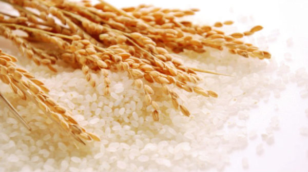 お米ダイエットの方法と効果